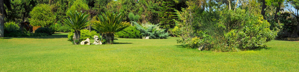 Progettazione giardino di condominio