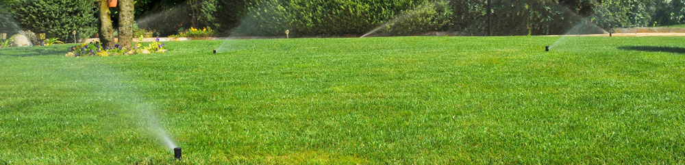 Manutenzione verde piscina
