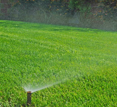 Realizzazione sistemi di irrigazione per giardini  Sassari